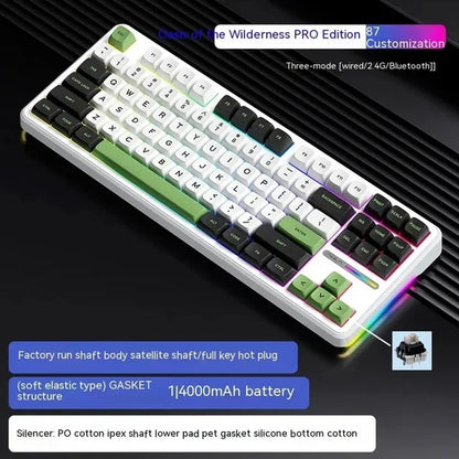 F87Pro Mechanical Keyboard 2.4G/Usb/Bluetooth Tri Mode Wireless 87 Key 5 Layer Silencing Filling Suitable for Gaming+Typing